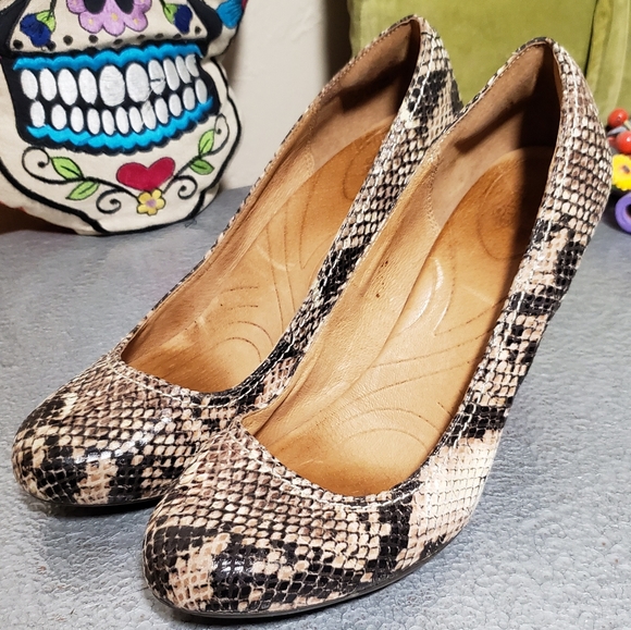 snakeskin clarks